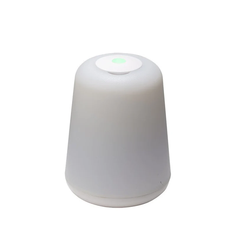 LAMPE D'AMBIANCE 2 EN 1