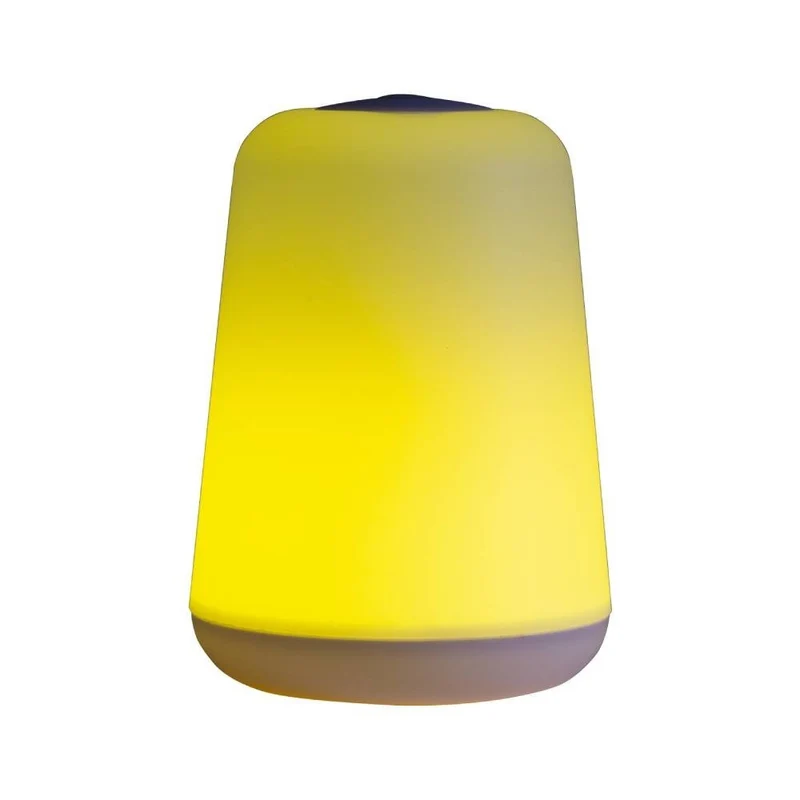 LAMPE D'AMBIANCE 2 EN 1