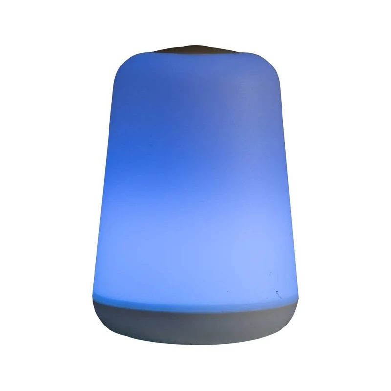 LAMPE D'AMBIANCE 2 EN 1