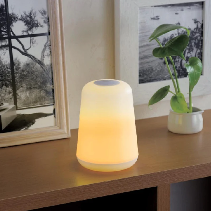 LAMPE D'AMBIANCE 2 EN 1