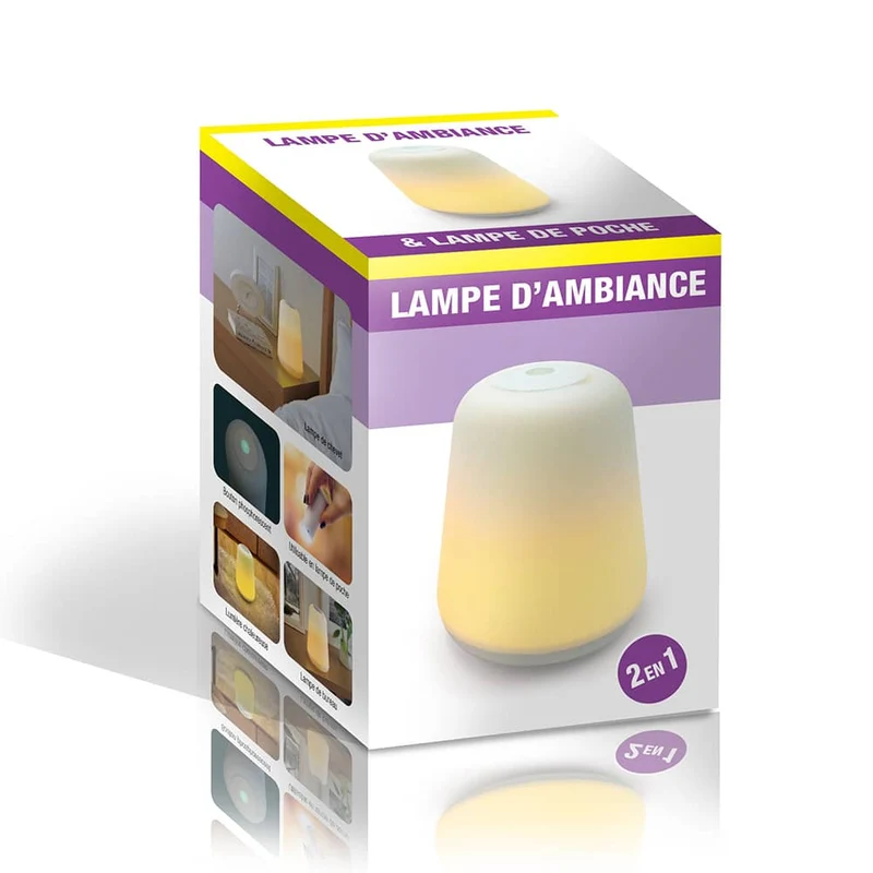 LAMPE D'AMBIANCE 2 EN 1