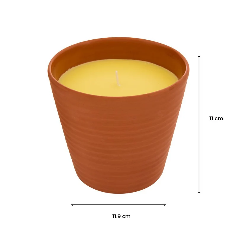BOUGIE PARFUMEE CITRONNELLE 200 G