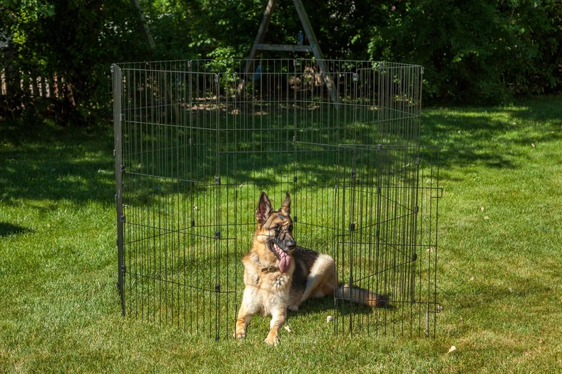 Wire Pet Pen - 48-inch