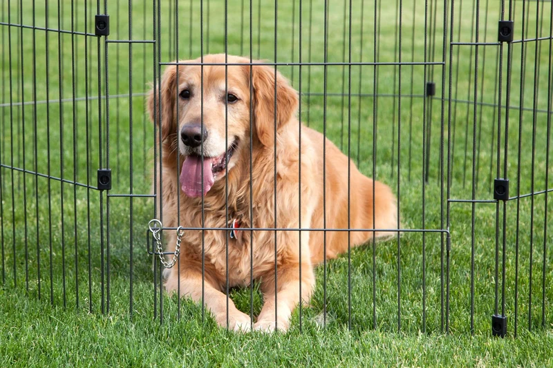 Wire Pet Pen - 48-inch