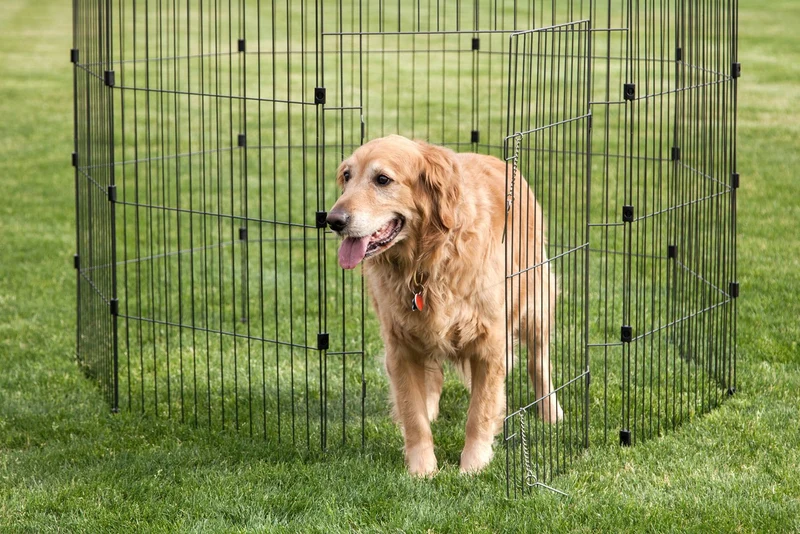 Wire Pet Pen - 48-inch