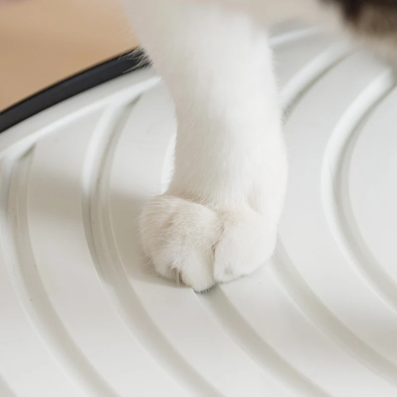 Top Entry Cat Litter Pan - Large