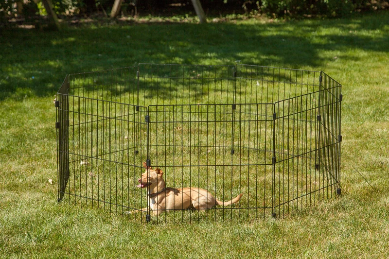 Wire Pet Playpen, Small Medium Dog