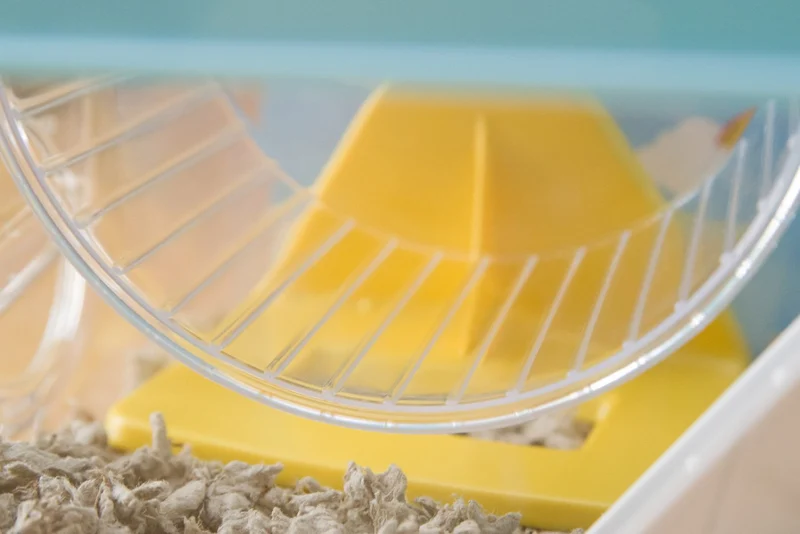 Hamster and Gerbil Cage - 2 Tier - Small