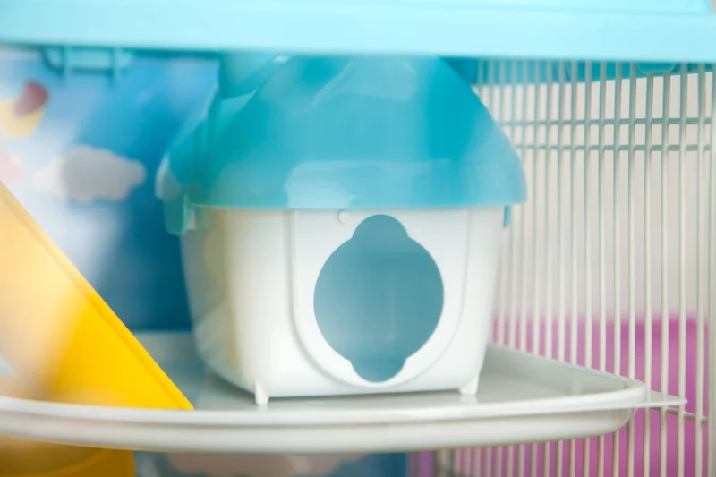 Hamster and Gerbil Cage - 2 Tier