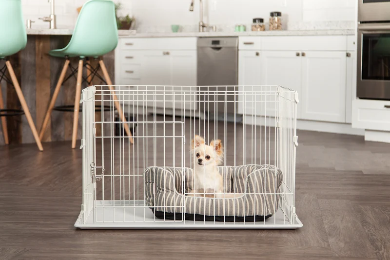 Animal Wire Cage - Medium