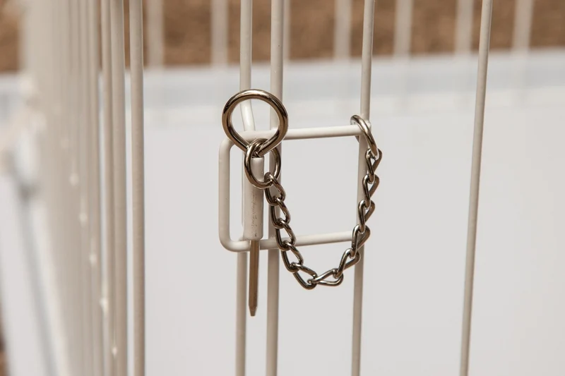 Animal Wire Cage - Medium