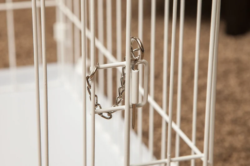 Animal Wire Cage - Medium