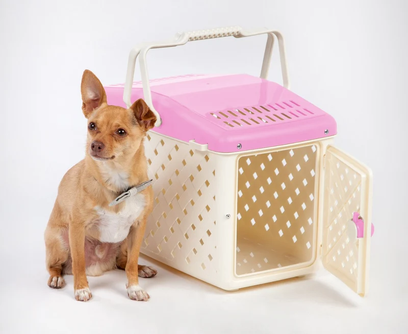 Animal Carrier Basket