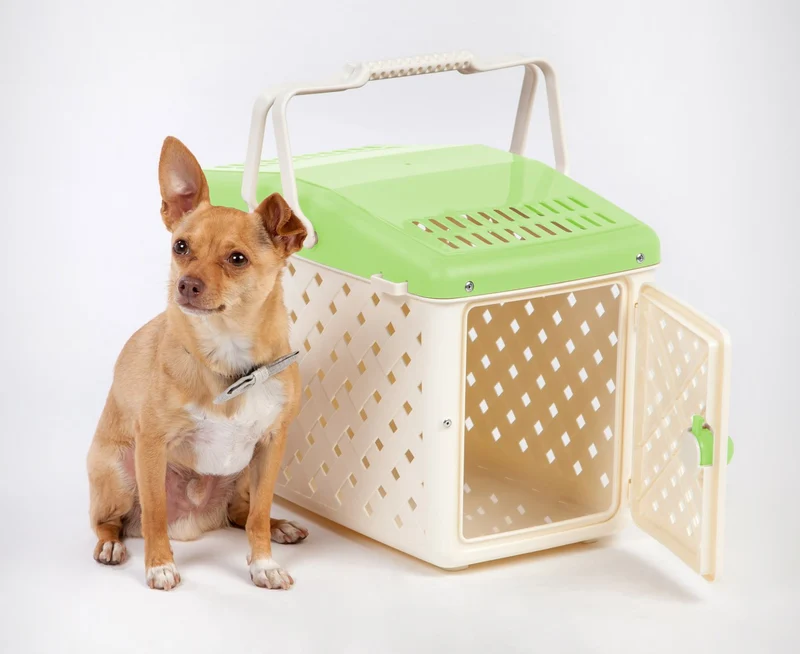 Animal Carrier Basket