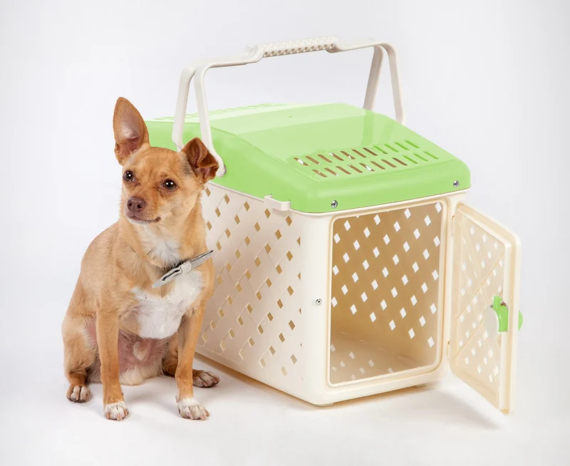 Animal Carrier Basket