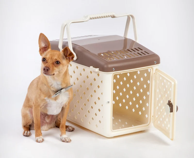 Animal Carrier Basket