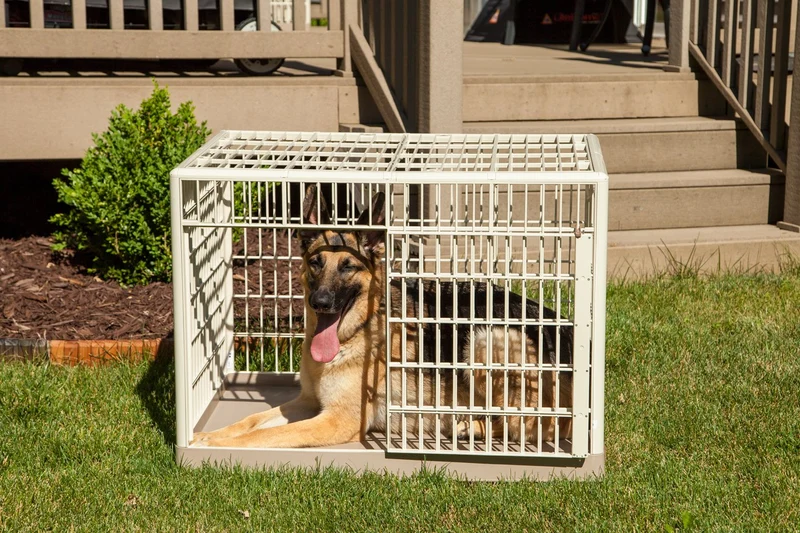 Animal Cage and Condo - Small