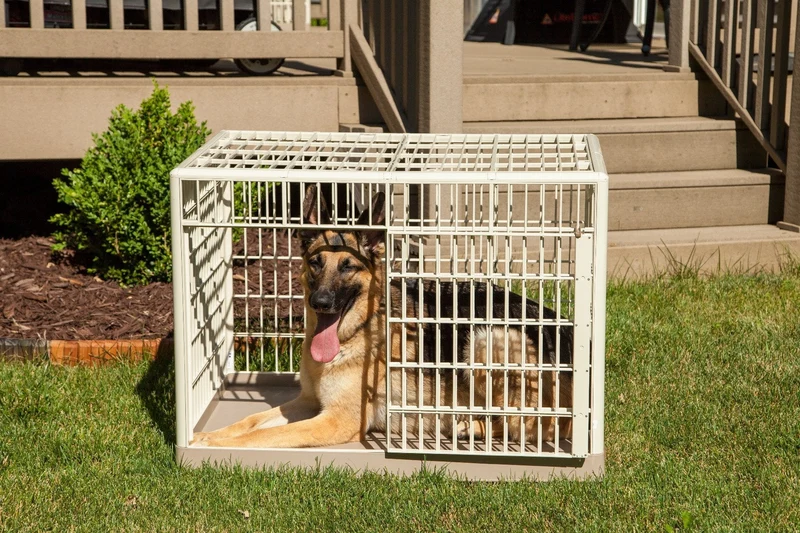 Animal Cage and Condo - Small