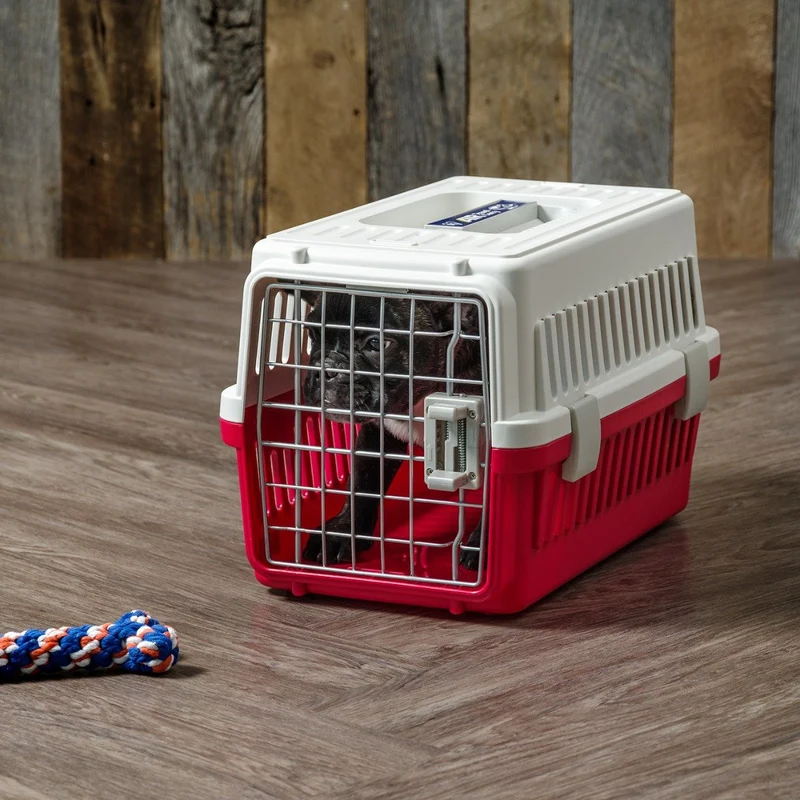 Air Travel carrier - Extra Small