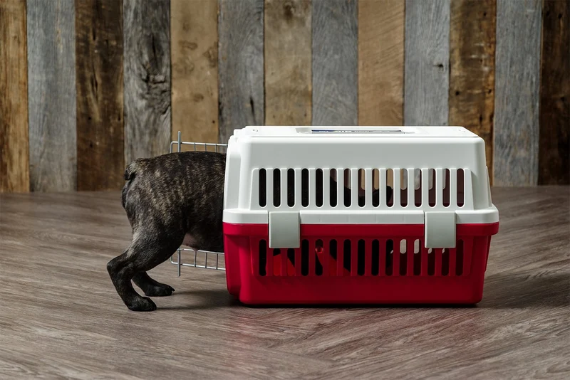 Air Travel carrier - Extra Small