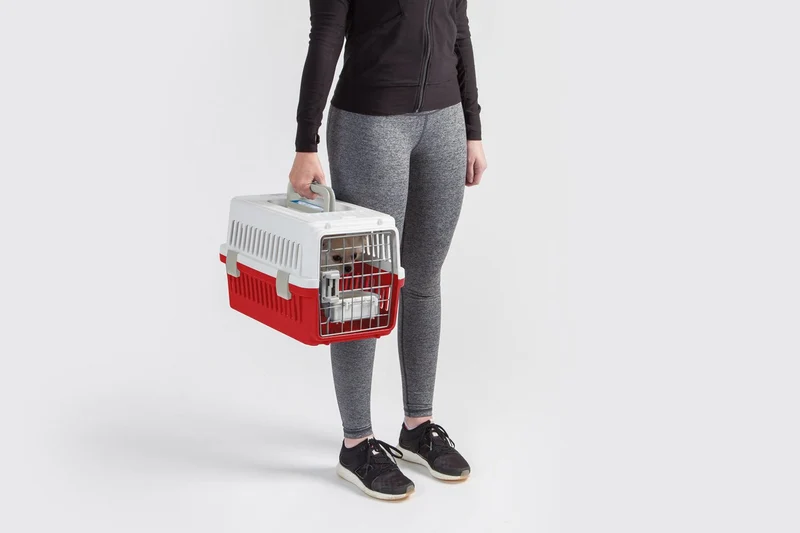 Air Travel carrier - Extra Small