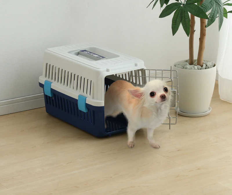 Air Travel carrier - Extra Small