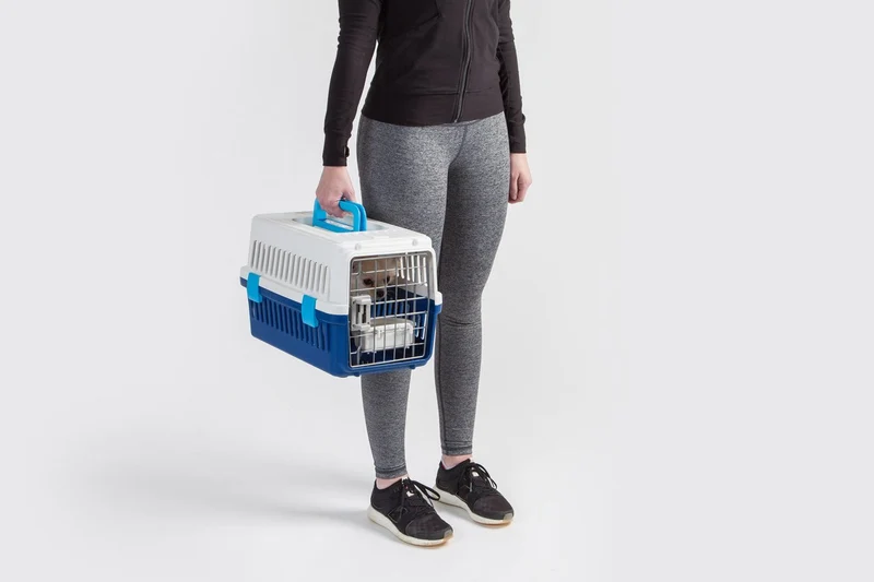 Air Travel carrier - Extra Small