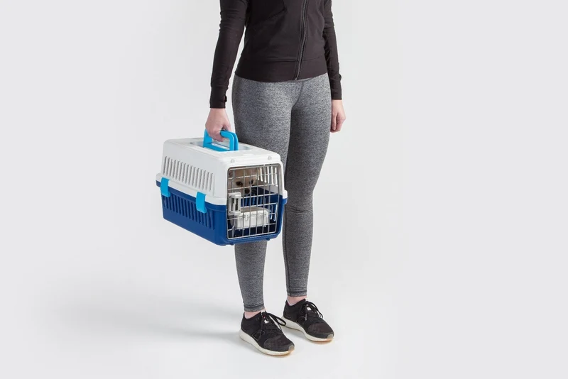 Air Travel carrier - Extra Small