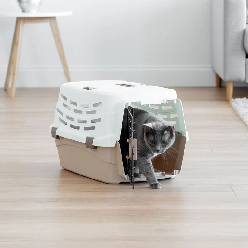 Pet Travel Carrier - Medium