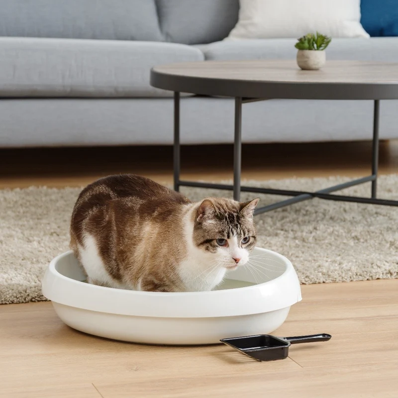 Large Rimmed Litter Pan
