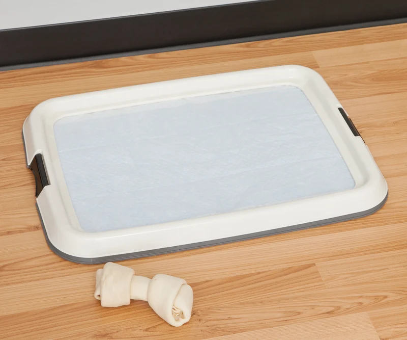 Training Pad Holder - Medium