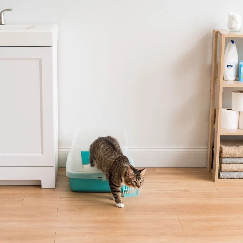 Open-Top Cat Litter Pan with Hood and Grid