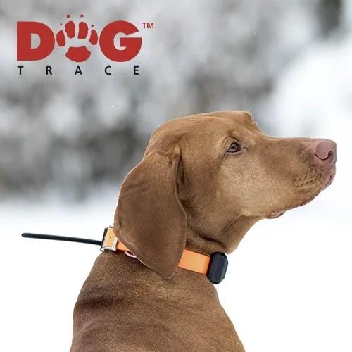 Système de suivi GPS Dogtrace X30