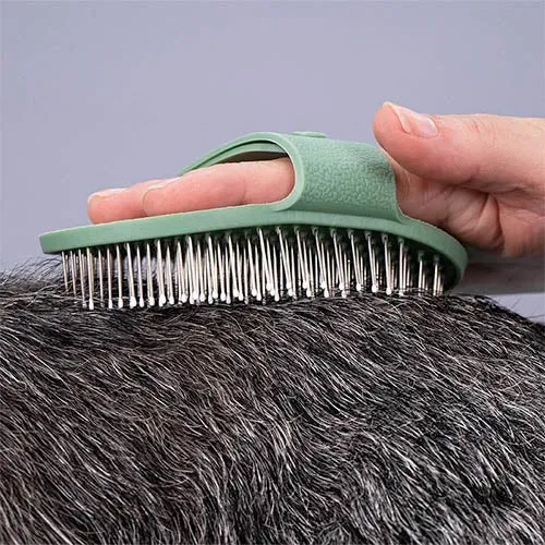 Brosse pour Terriers