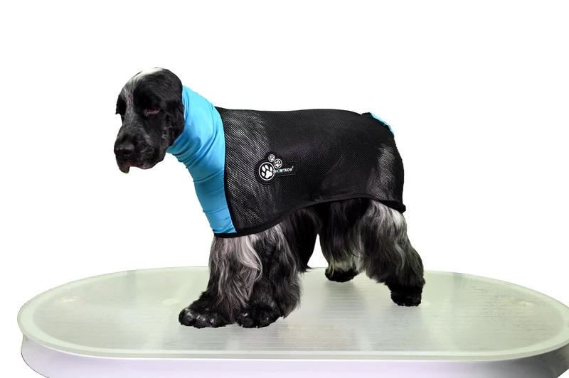Dry Coat pour Cavaliers / Cockers - Manteau de séchage