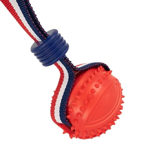 Balle avec lanceur élastique ludique