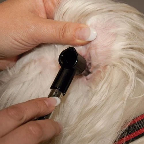Mini Otoscope ou Penlight
