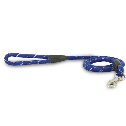 Laisse Ronde Bleue Épaisse pour promenade chien