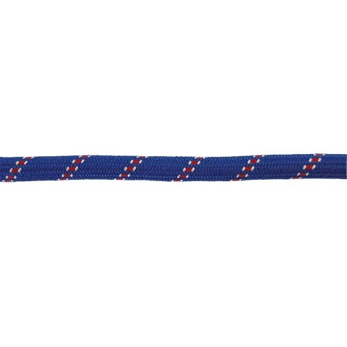 Laisse Ronde Bleue Épaisse pour promenade chien