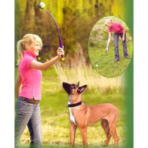 Lance & Ramasse Balle pour jeu chien