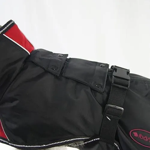 Manteau Chien Street Breathe Comfort
