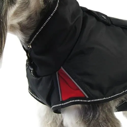 Manteau Chien Street Breathe Comfort