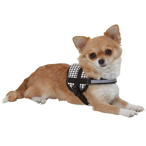Teeny-Weeny Harnais chien