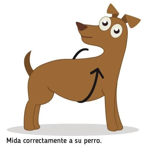Teeny-Weeny Harnais chien