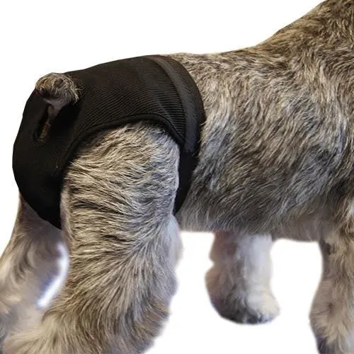 Noir Chien Heat Pants - Size 0