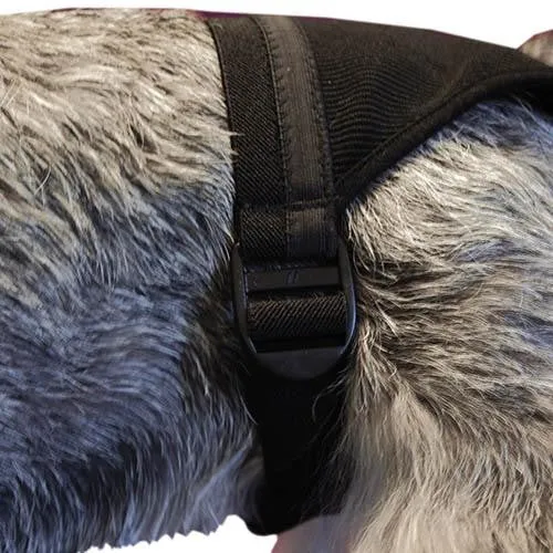 Noir Chien Heat Pants - Size 0