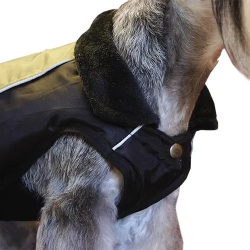 Manteau Chien Vert Trek Breathe Comfort