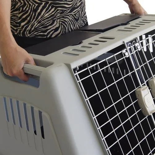 Cage de Transport Voiture
