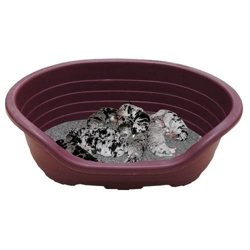 Corbeille plastique chien