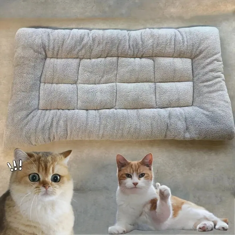 Grand lit en peluche pour chien